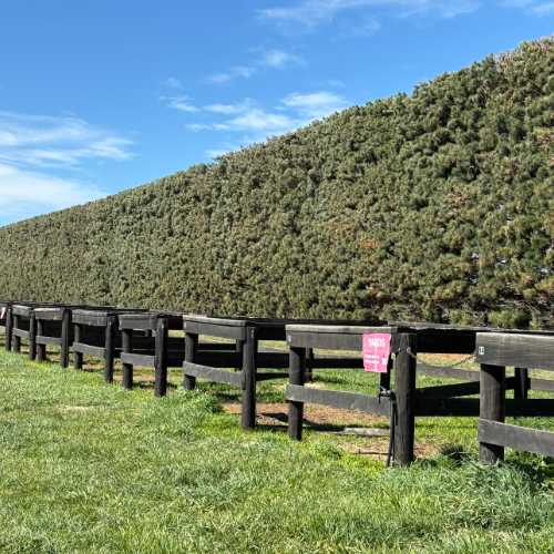 Horse stay yards at SEC