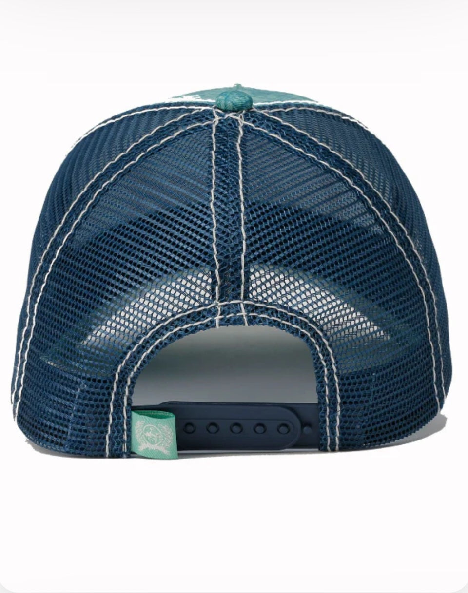 Cinch Women's Caps - 4 Styles