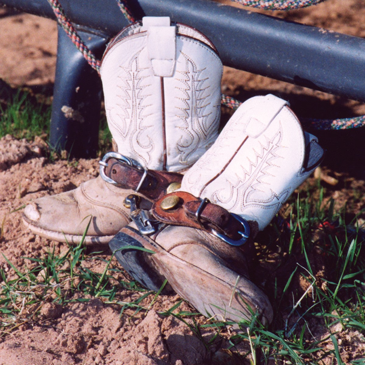 Martin Saddlery Kids Spur Straps