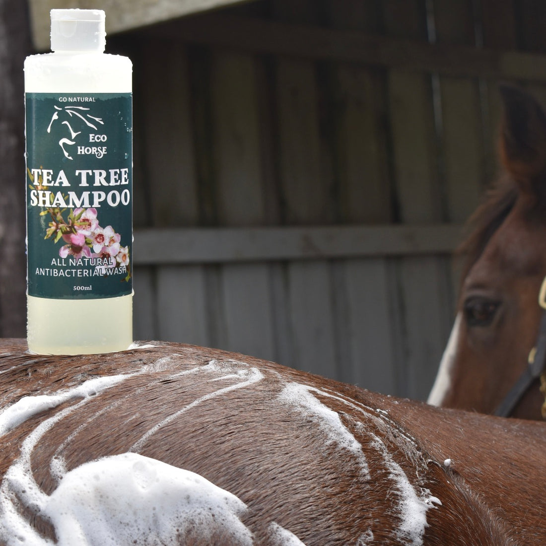 Eco Horse Tea Tree Shampoo