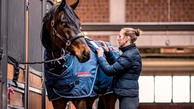 The Activomed rug in a treatment session on a horse in a stable.