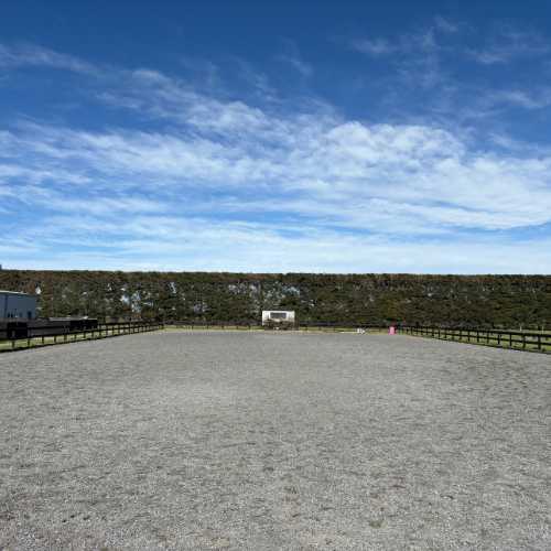 Equestrian arena with a clear blue sky above