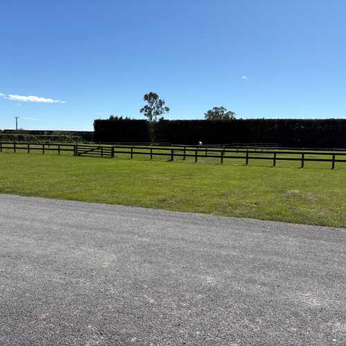 Flexible grazing services at SEC 
