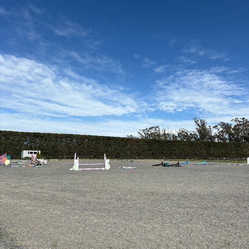 Show jumping arena with jumps