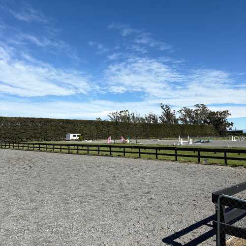 View from the dressage area to the Show Jumping arena with a clear blue sky and trees in the background