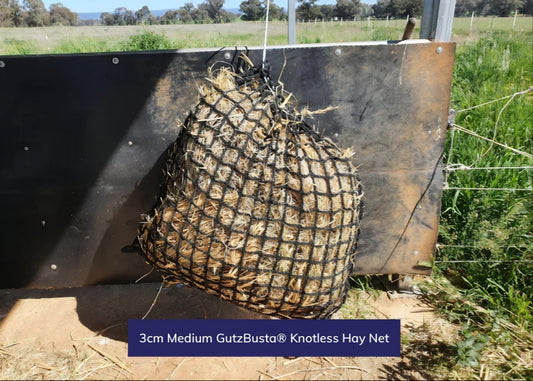 Gutzbusta Knotless Haynet - Small