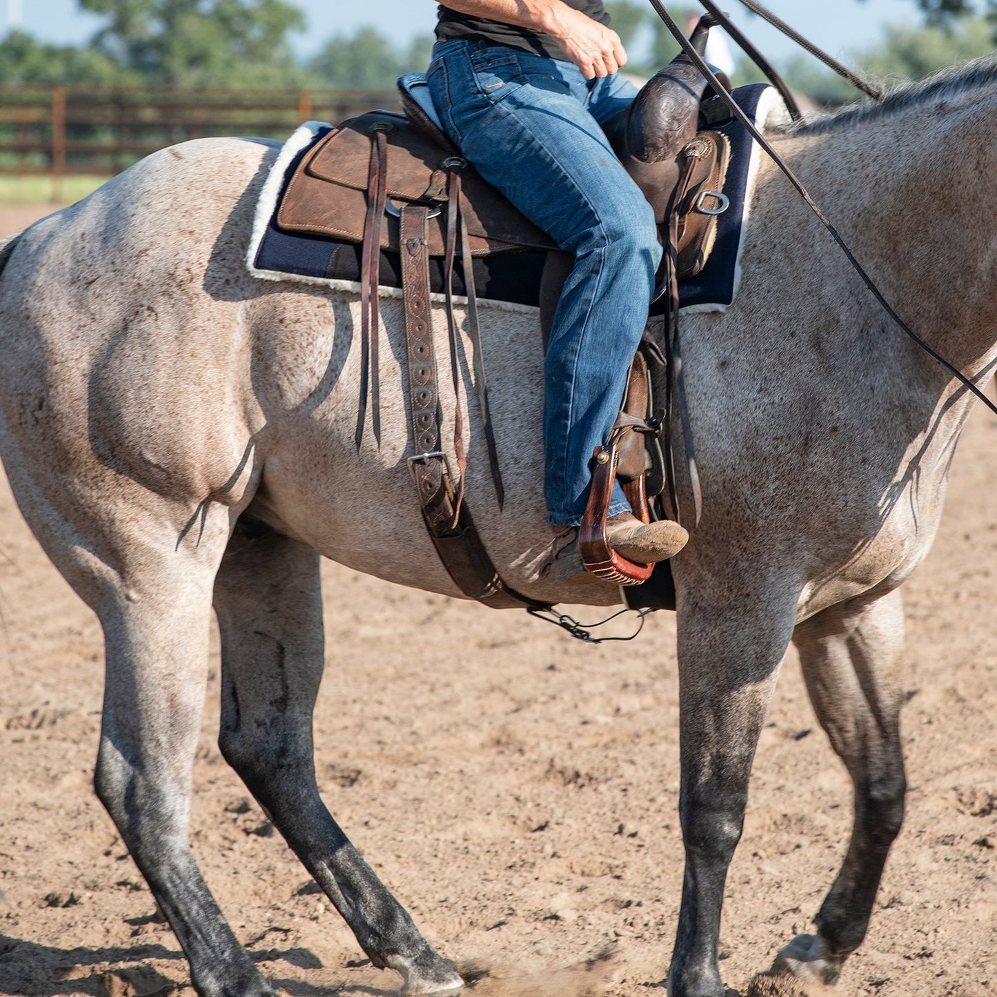 Classic Equine Performance Trainer Pad Felt Top