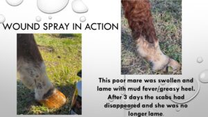 Equine SuperGoo Wound Spray