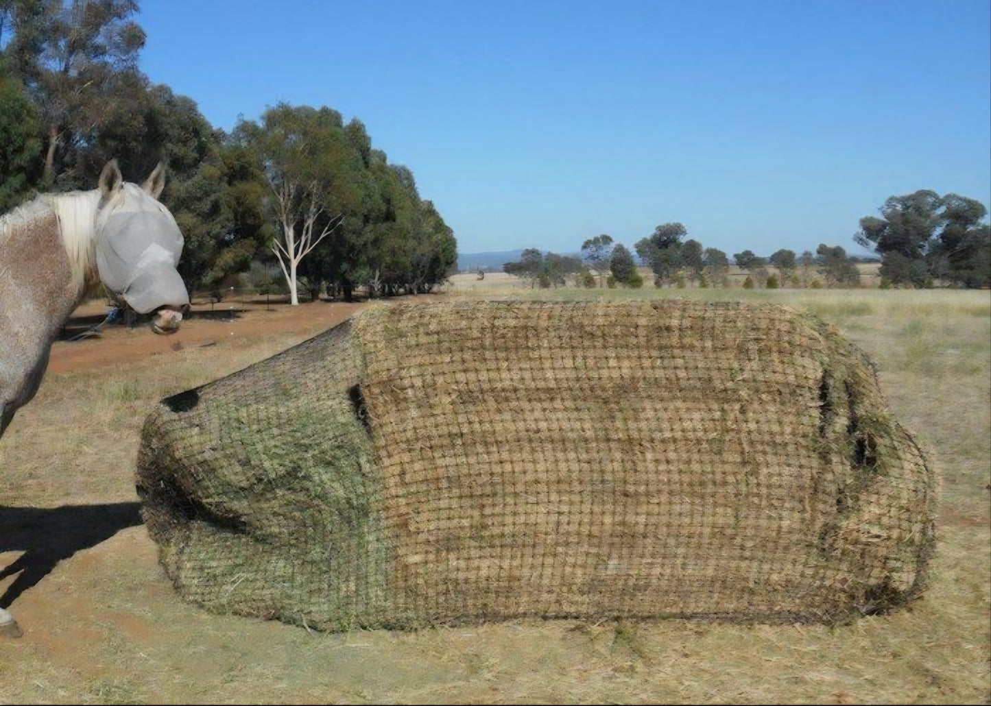 Gutzbusta Large/Medium Square Knotted Bale Net