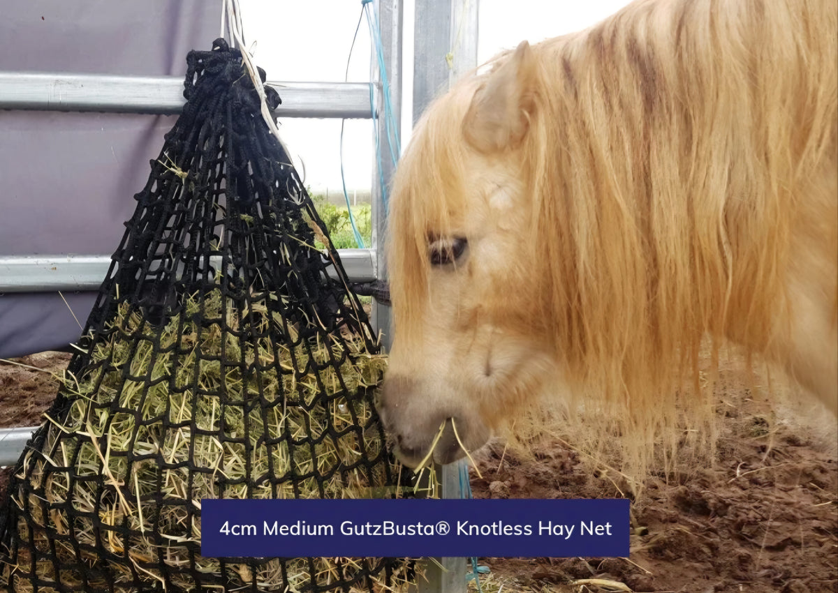 Gutzbusta Knotless Haynet - Small