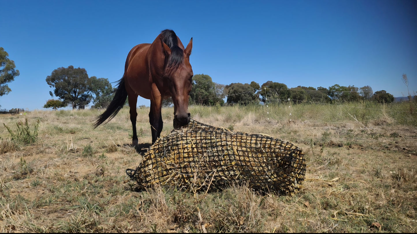 Gutzbusta Large Knotless Hay Net