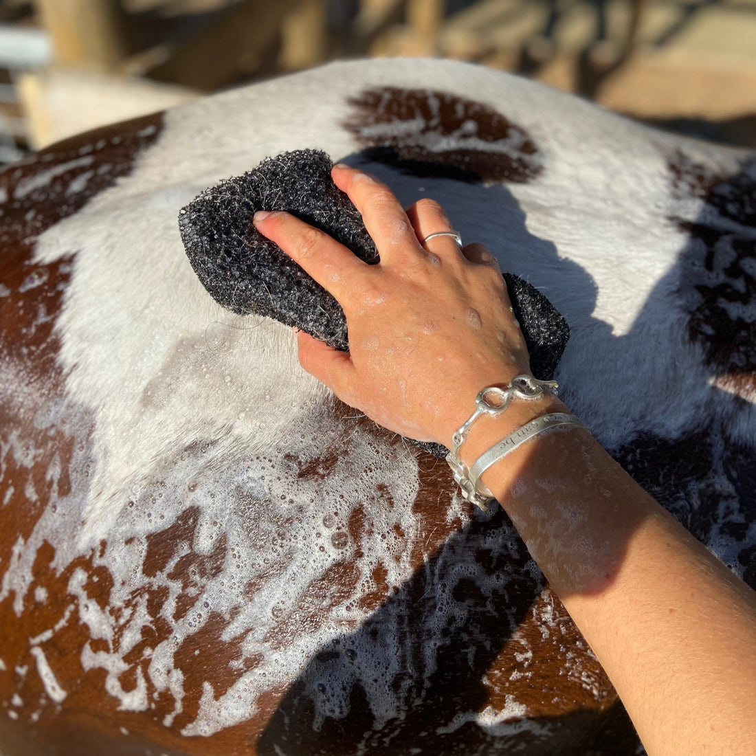 Eco Horse Wet n Dry Sponge