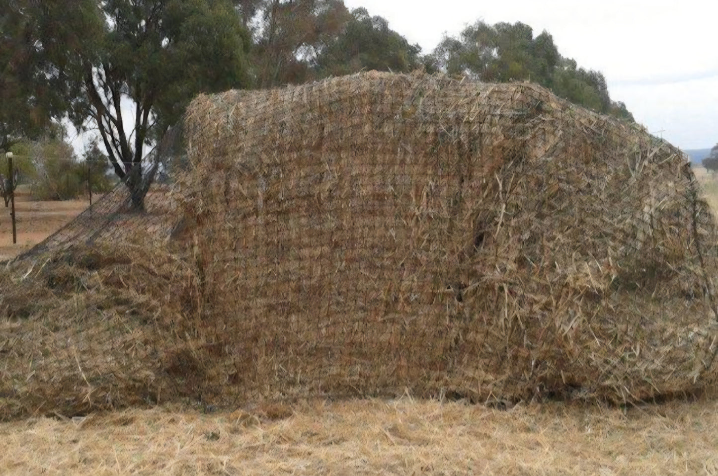 Gutzbusta Large/Medium Square Knotted Bale Net