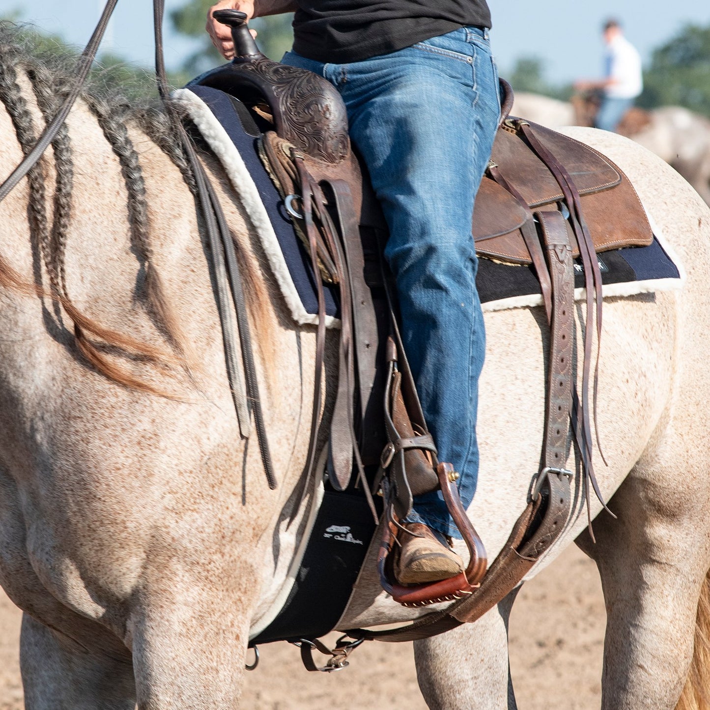Classic Equine Performance Trainer Pad Felt Top