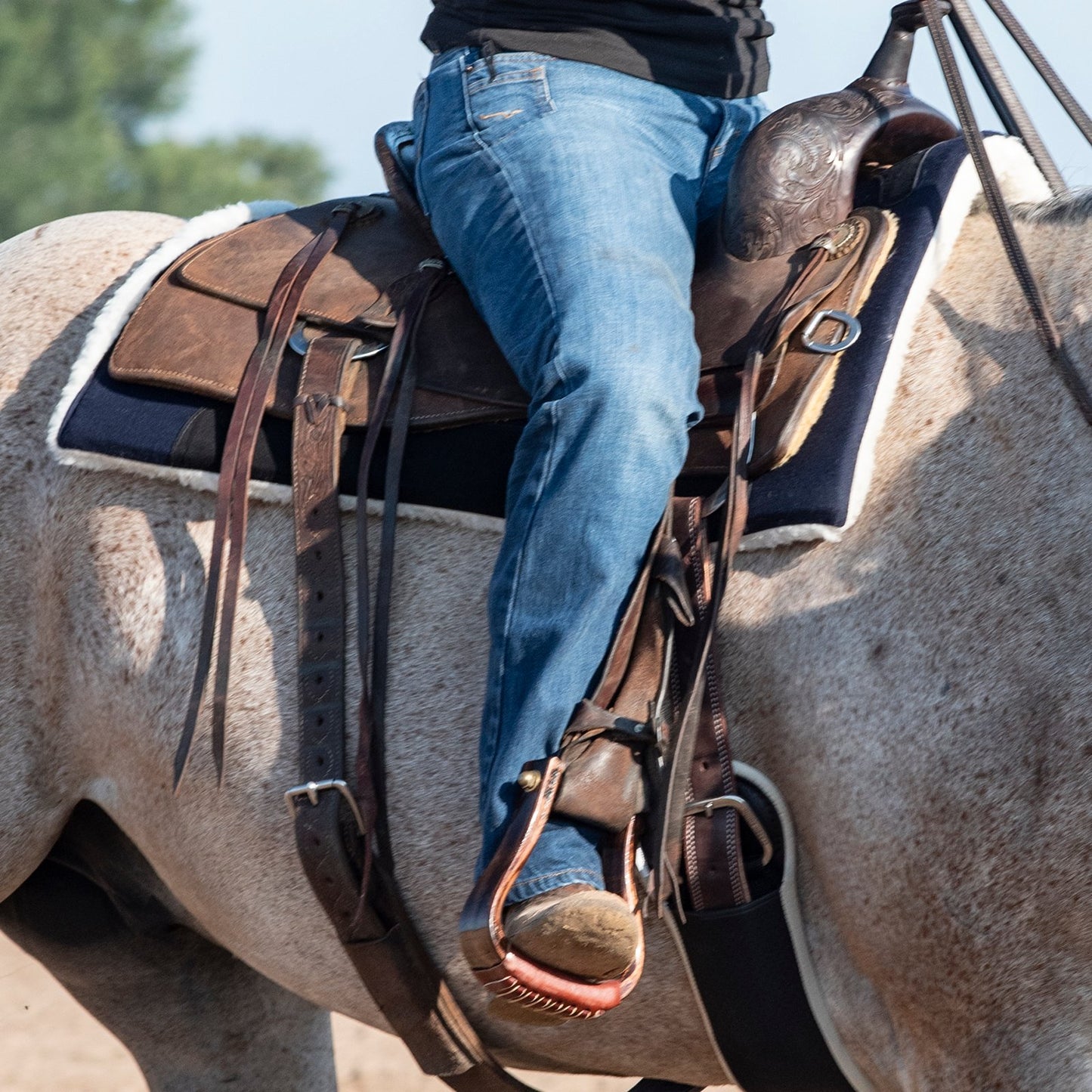 Classic Equine Performance Trainer Pad Felt Top