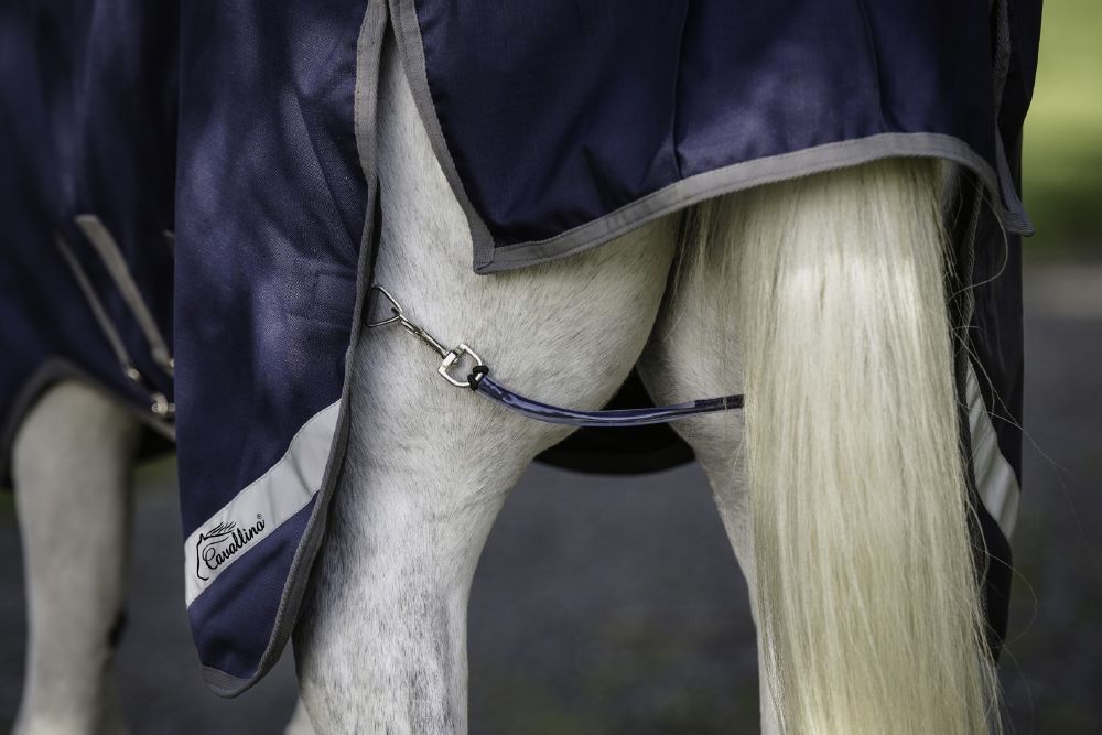Cavallino Gen4 Detach a Neck Turnout Rug 220gm