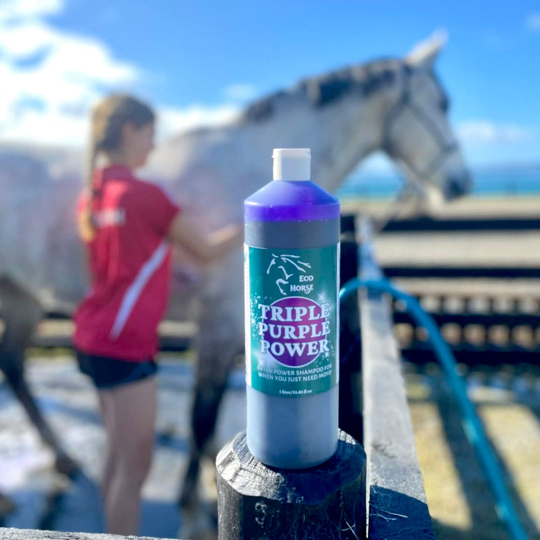 Eco Horse Triple Purple Power Shampoo