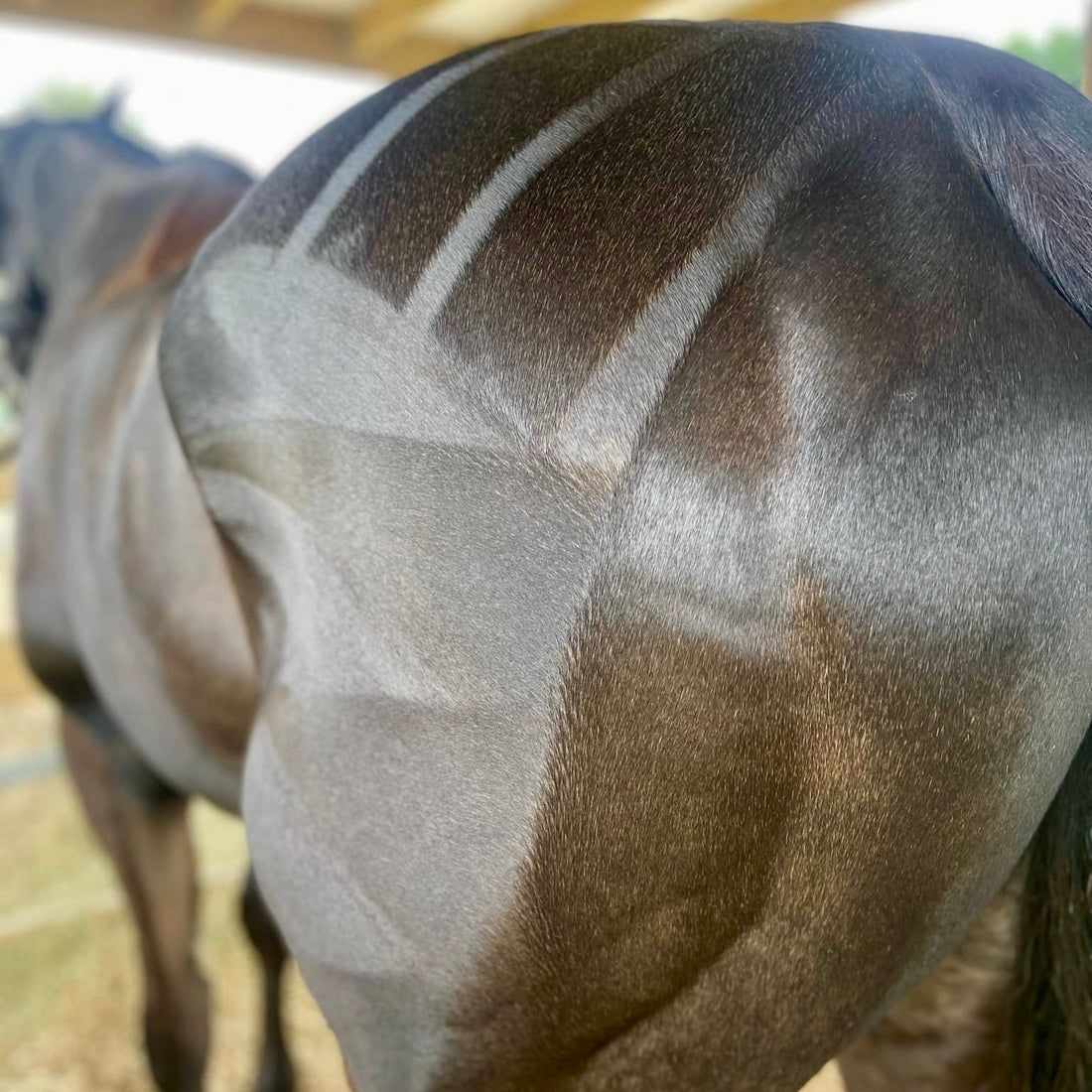 Eco Horse Quarter Mark Pro Spray