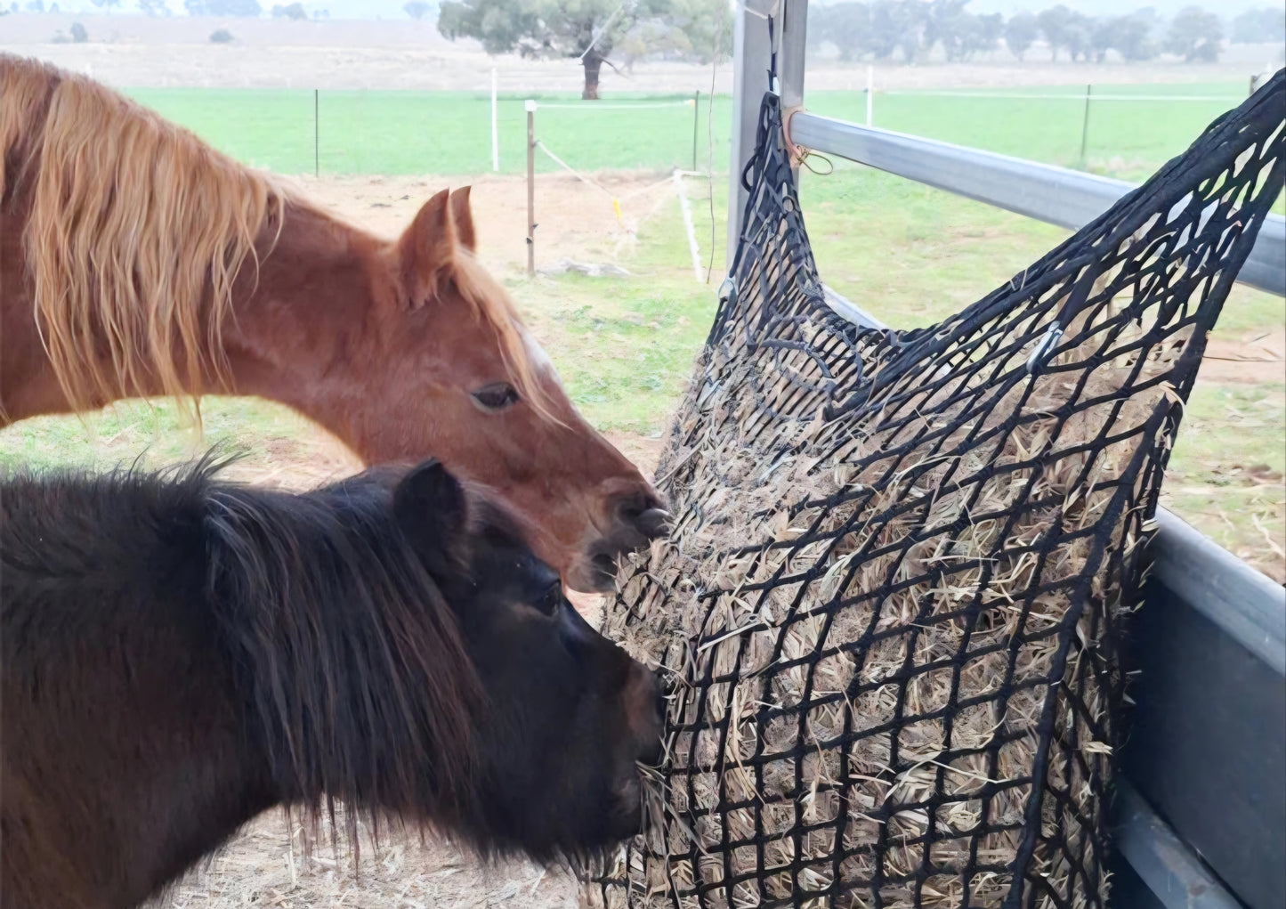 Gutzbusta HayStay Knotless Hanging Hay Net