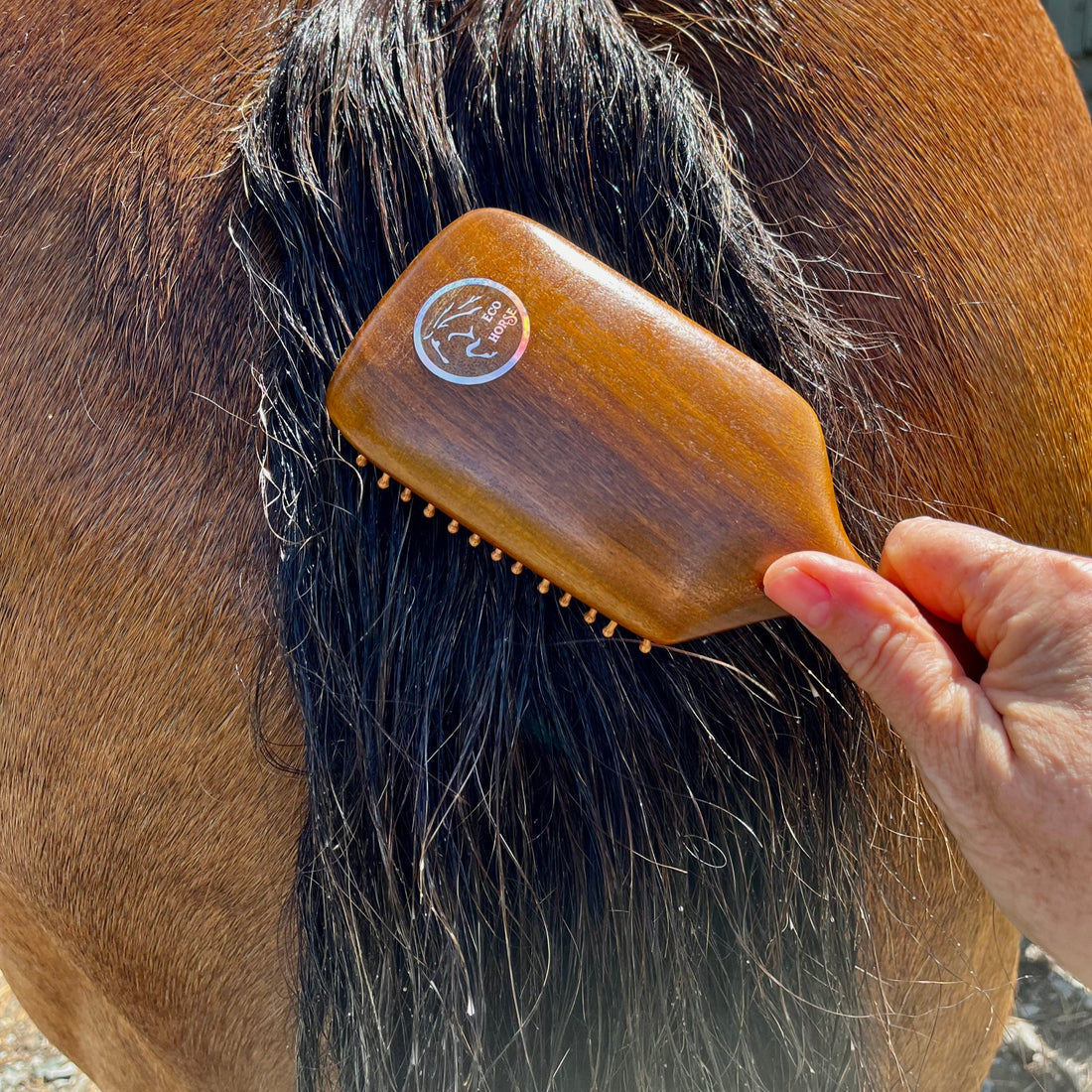 Eco Horse Workhorse Brush