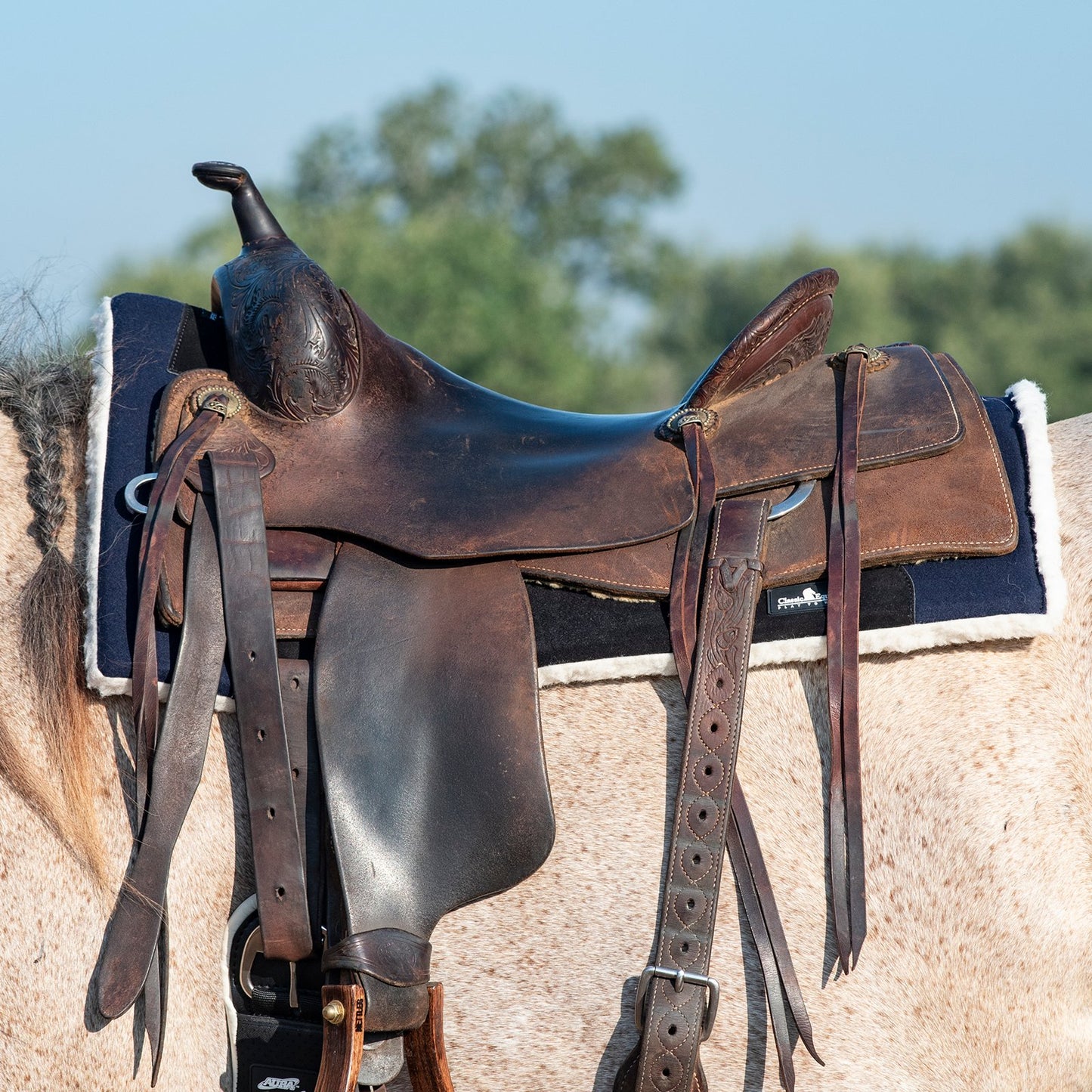 Classic Equine Performance Trainer Pad Felt Top