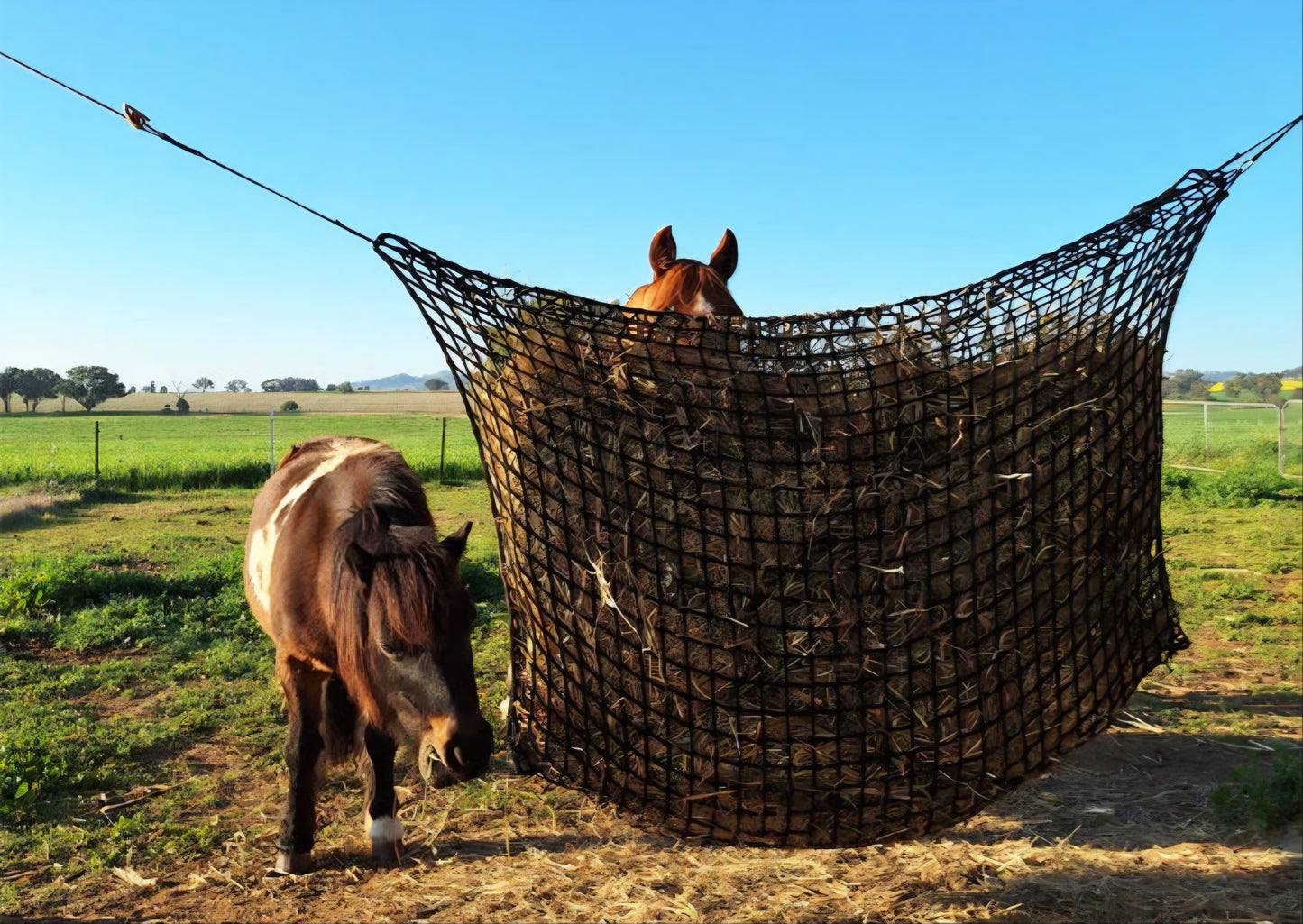 Gutzbusta HayStay Knotless Hanging Hay Net