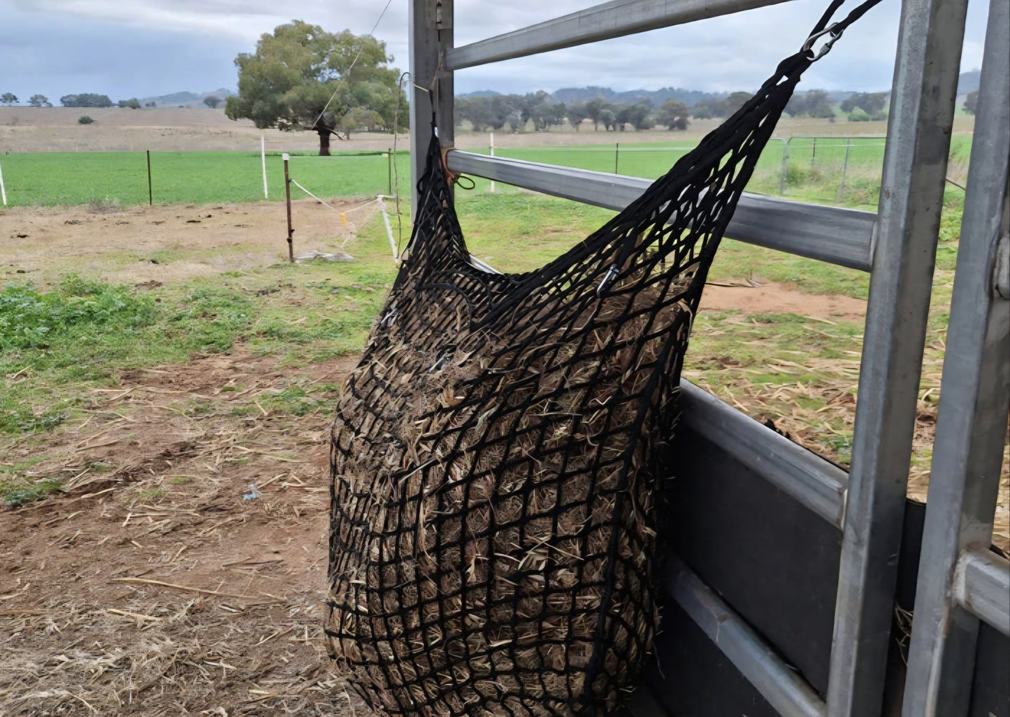 Gutzbusta HayStay Knotless Hanging Hay Net