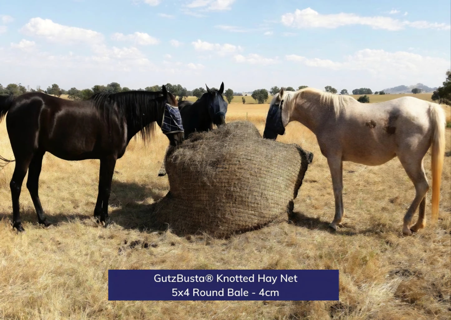 Gutzbusta Knotted Round Bale Net