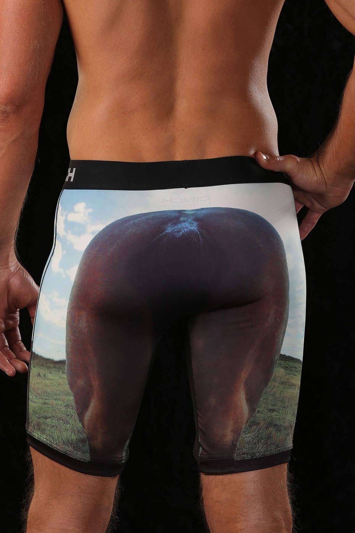 Clyde the Horse Briefs - 9 inch leg
